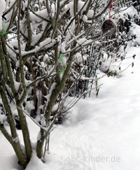 Viel Schnee im Garten