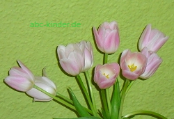 Tulpen